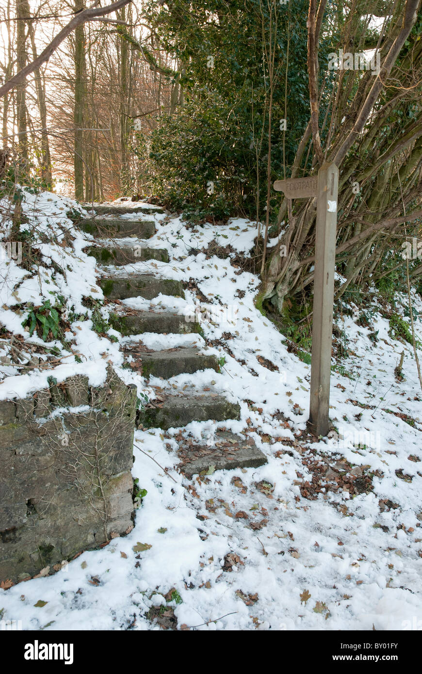 8 étapes menant à un sentier dans la neige Banque D'Images