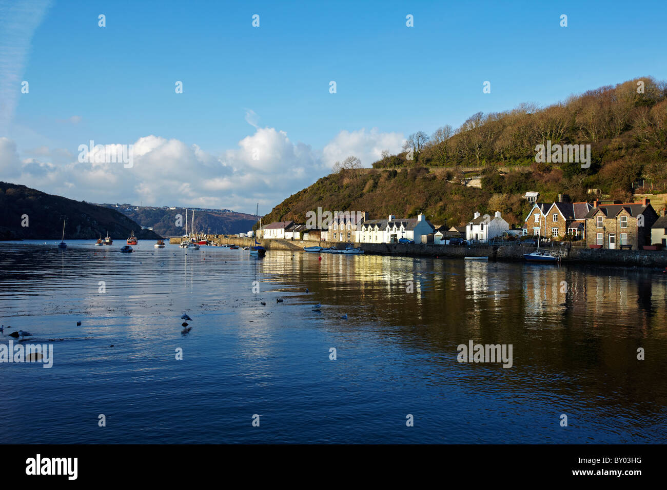 Fishguard Harbour, Fishguard, West Wales, UK Banque D'Images