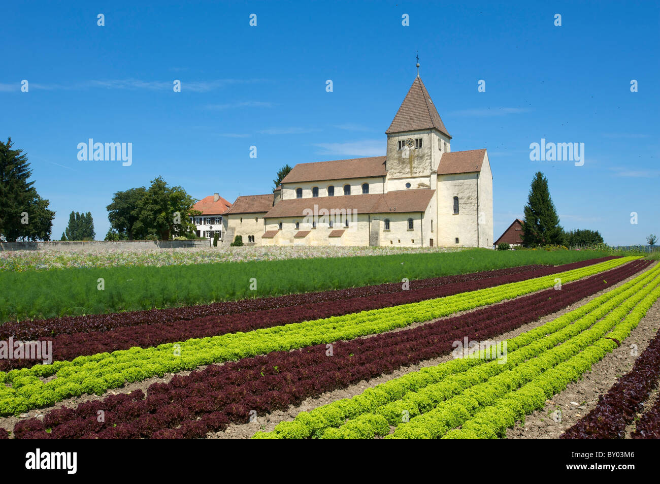 St George Church, Oberzell Reichenau, l'île, le lac de Constance, Bade-Wurtemberg, Allemagne Banque D'Images