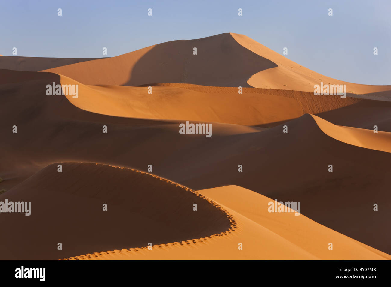 Dunes de sable, le Parc National Namib Naukluft, Namibie Banque D'Images