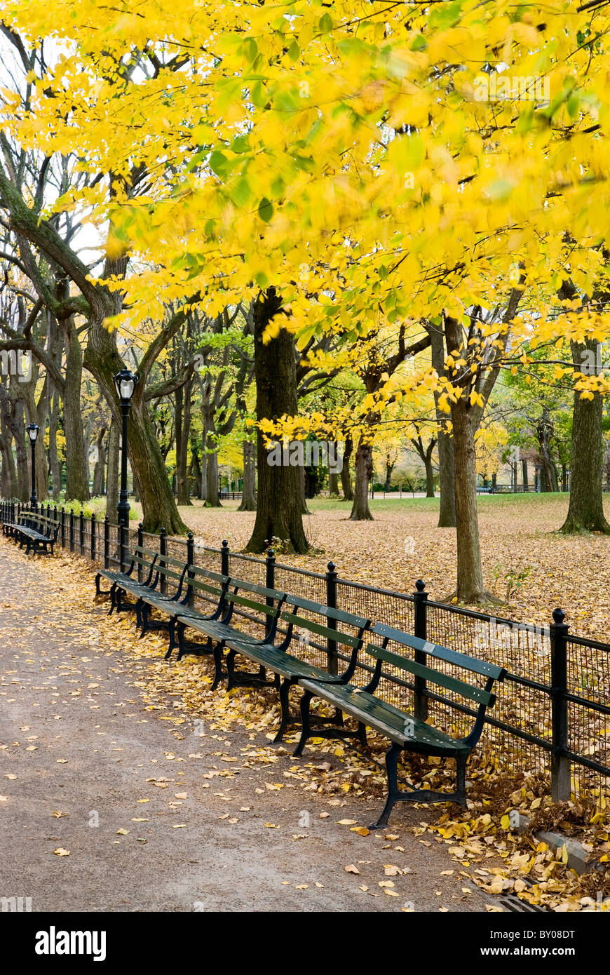Banc de parc en automne. Banque D'Images