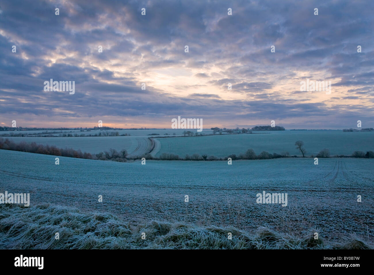 Givre entre Clare et Cavendish Suffolk Banque D'Images