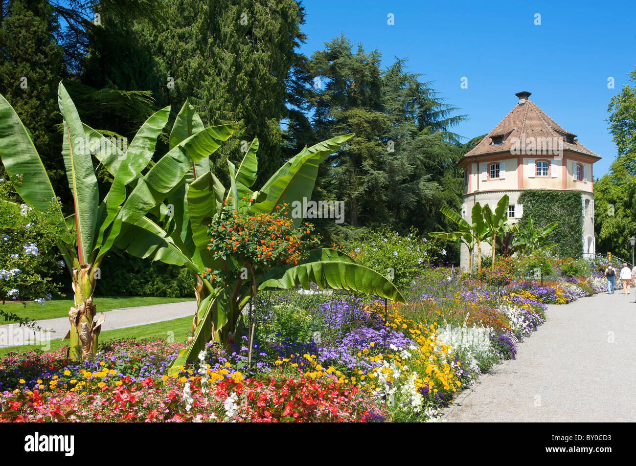 Île de Mainau, sur le lac de Constance, Bade-Wurtemberg, Allemagne Banque D'Images Île de Mainau, sur le lac de Constance, Bade-Wurtemberg, Allemagne Banque D'Images