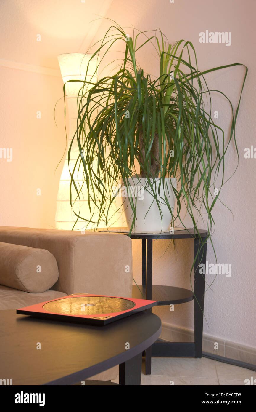 Intérieur avec une boussole Feng-Shui sur la table au premier plan Banque D'Images Intérieur avec une boussole Feng-Shui sur la table au premier plan Banque D'Images