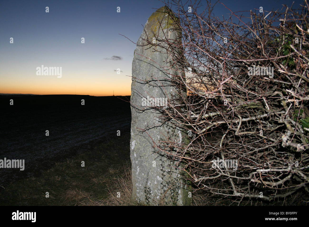 Standing Stone au crépuscule Banque D'Images