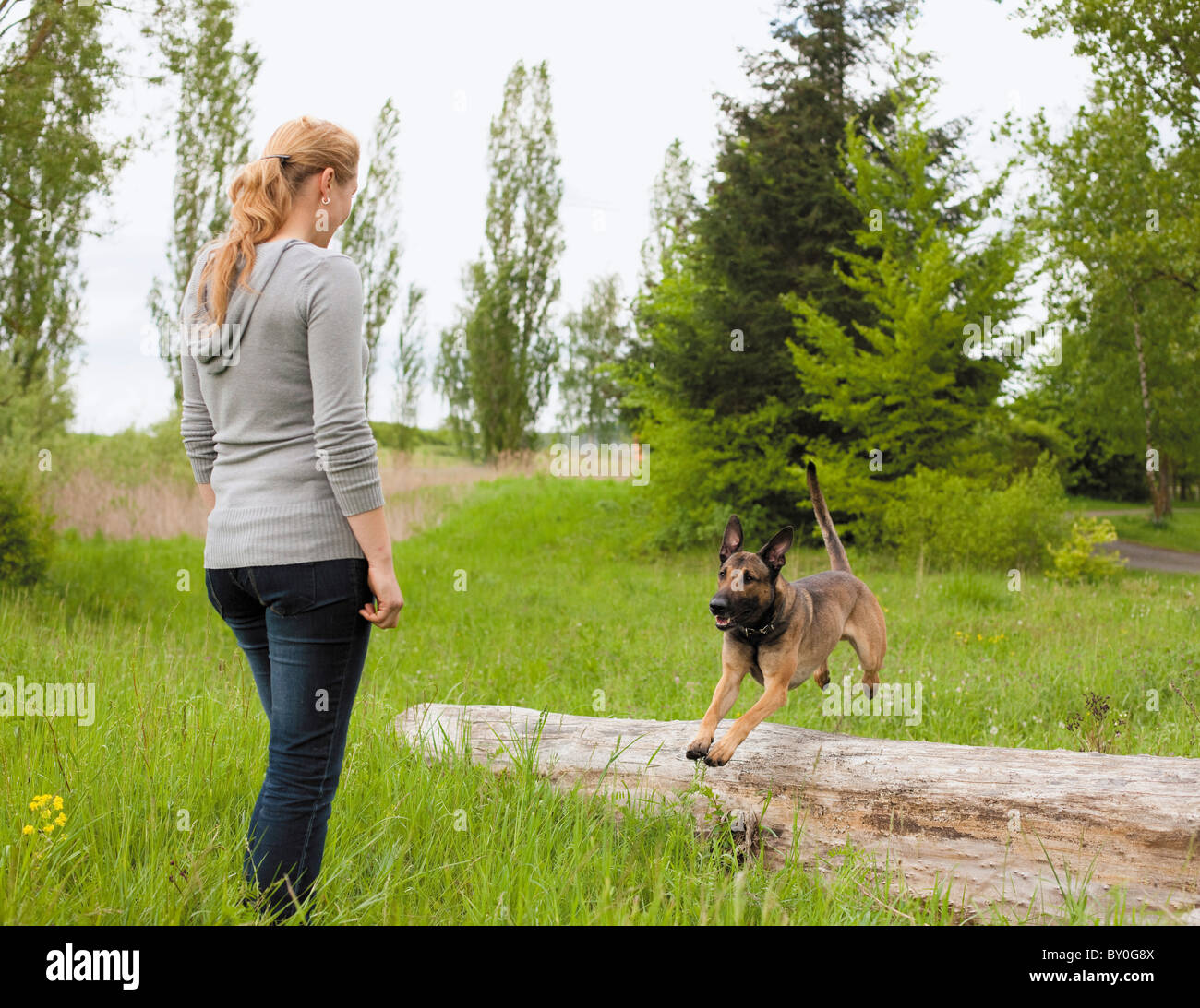 Femme mi-chien de race Banque D'Images