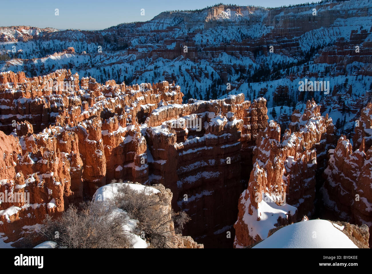 Hoodoos couverte de neige de Sunset Point Bryce Canyon National Park Utah USA Banque D'Images