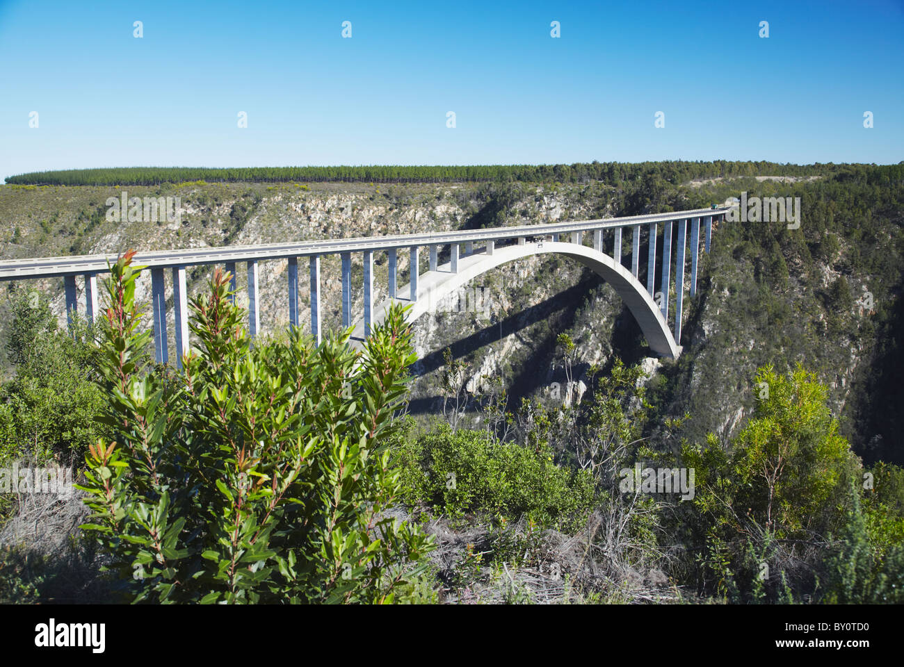 Rivière Bloukrans Bridge (le plus élevé du monde de site bungy jump), les tempêtes River, Eastern Cape, Afrique du Sud Banque D'Images