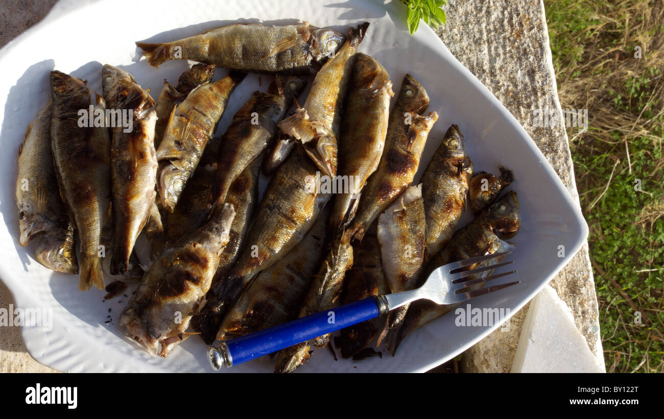 Fruits de mer au barbecue de la Grèce Banque D'Images
