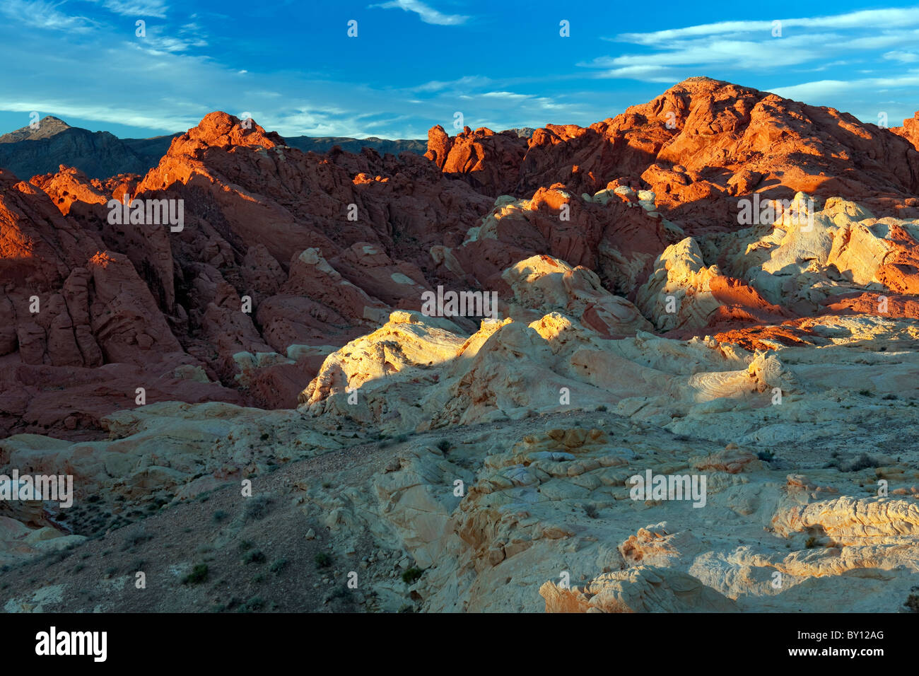 La première lumière baigne les spires dans Fire Canyon et Nevada's Valley of Fire State Park. Banque D'Images