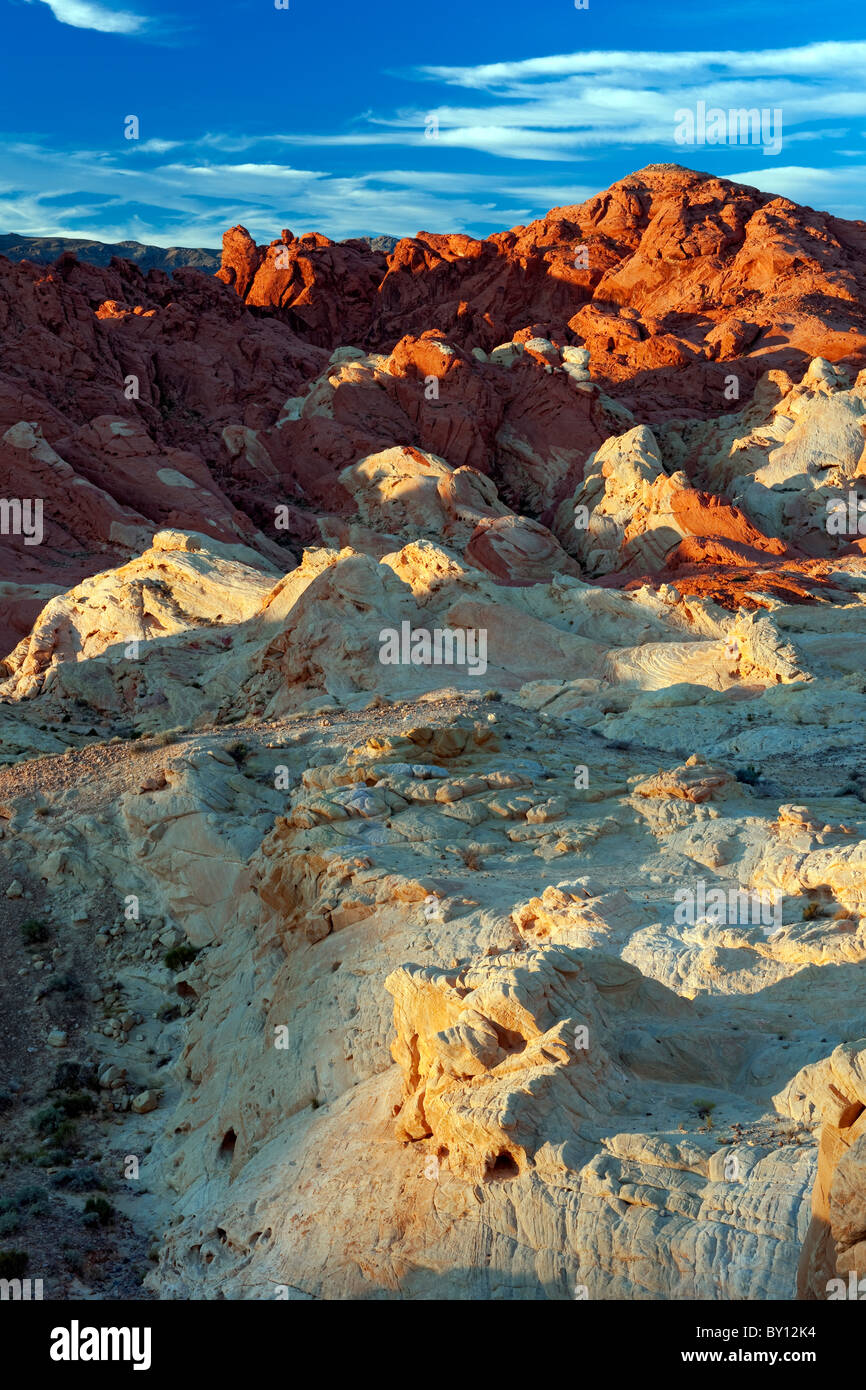 La première lumière baigne les spires dans Fire Canyon et Nevada's Valley of Fire State Park. Banque D'Images