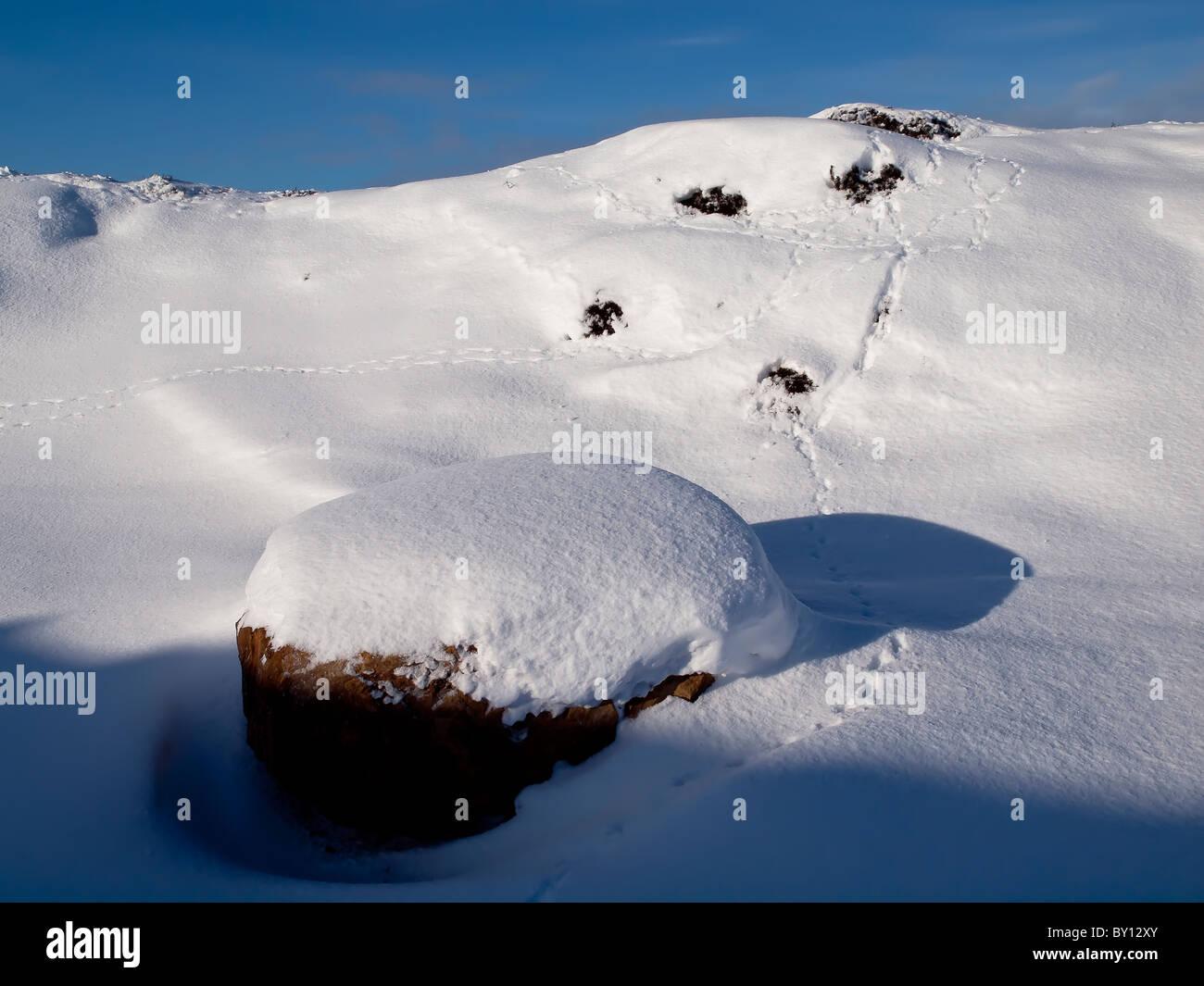 Les empreintes des animaux dans la neige du Yorkshire. Banque D'Images