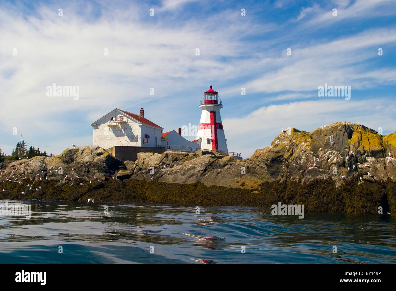 East Quoddy Head Lighthouse photographié à partir d'un bateau au large des côtes. Situé sur l'île Campobello, au Nouveau-Brunswick. Banque D'Images