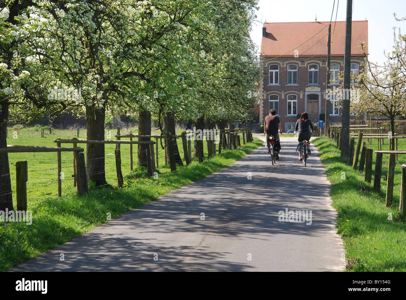 Randonnée à vélo le long de routes de campagne dans la Hesbaye Belgique Banque D'Images