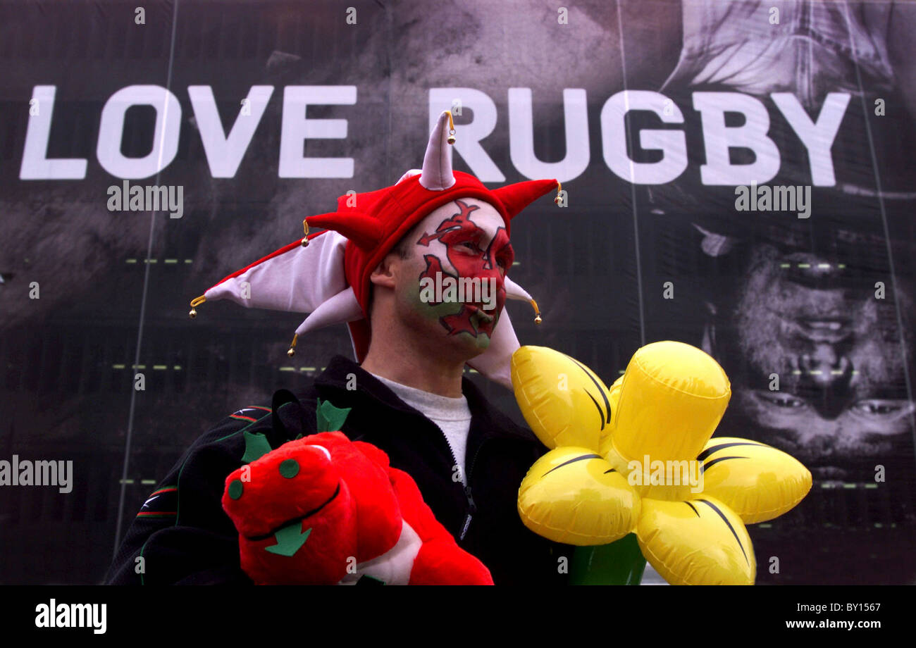 Welsh Rugby Dandelion Fans Welsh rugby fan Banque de photographies et d’images à haute résolution ...