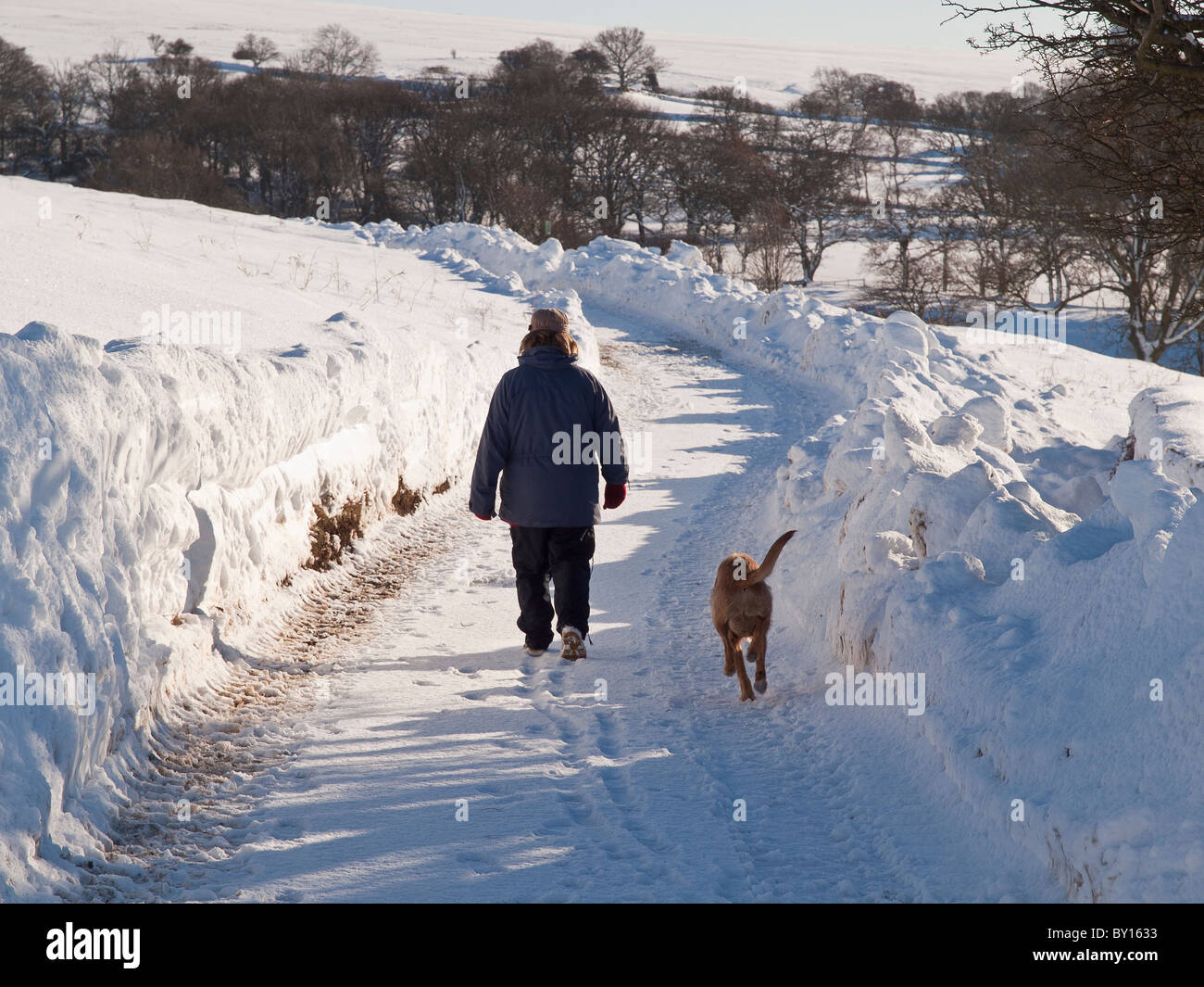 Le chien marche snow bound lane près de Goathland sur le Yorkshire Moors Banque D'Images