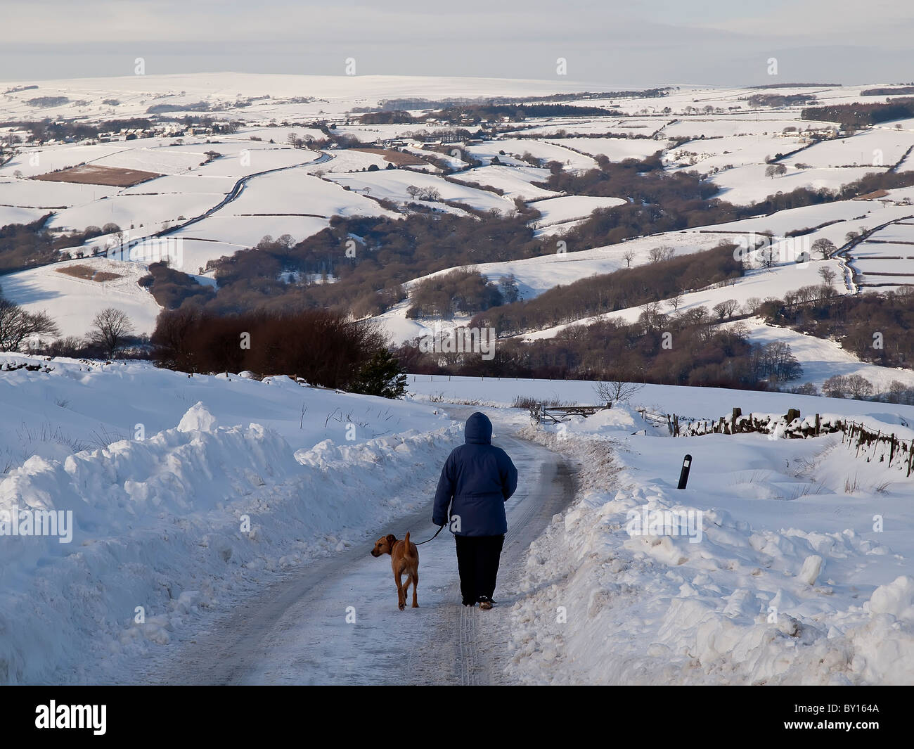 Le chien marche snow bound lane près de Goathland sur le Yorkshire Moors Banque D'Images