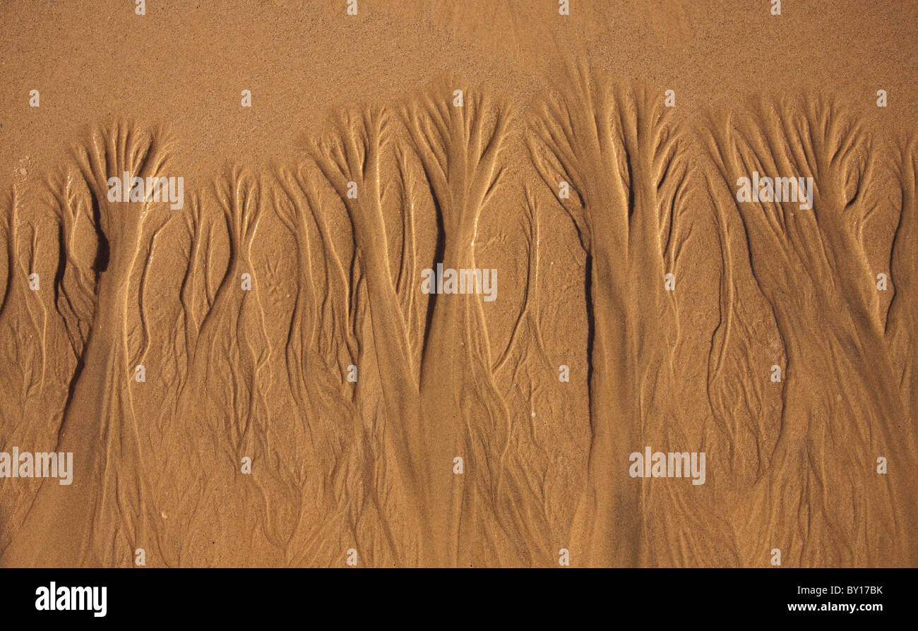 Des modèles dans le sable sur la plage à Grange Hill Station, Broome, Kimberley, Australie occidentale Banque D'Images