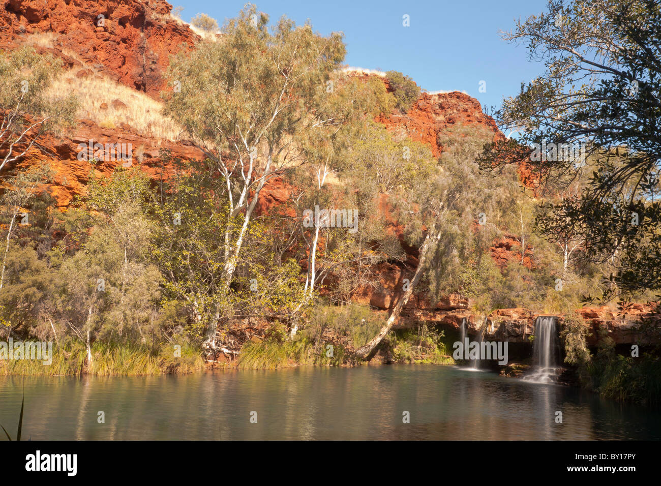 Piscine en fougère Dales Gorge, parc national de Karijini, Pilbara, Australie occidentale Banque D'Images