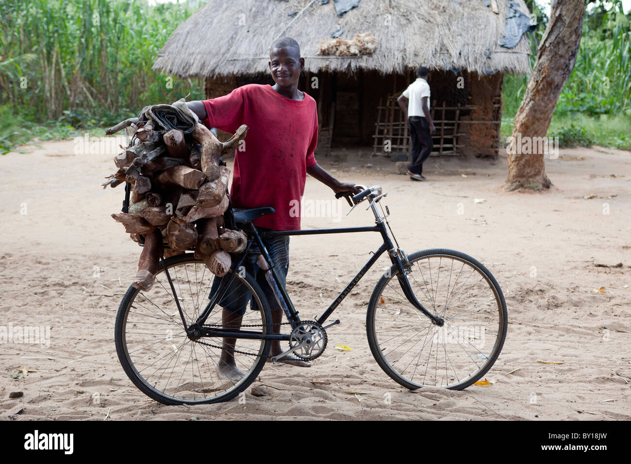 VILLAGE près de Nampula, MOZAMBIQUE, Mai 2010 : apportant à la maison bois en vélo. Photo de Mike Goldwater Banque D'Images