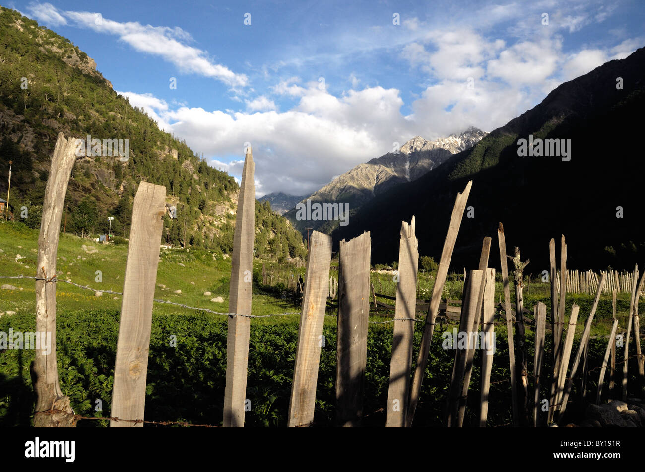 Une clôture dans l'Himalaya indien. Banque D'Images