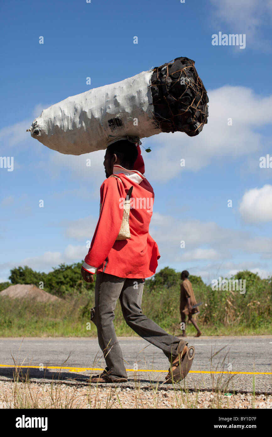MECATI Forêt, Près de Nampula, MOZAMBIQUE, Mai 2010 : un membre d'un groupe de producteurs de charbon apporte un sac de charoal. Banque D'Images