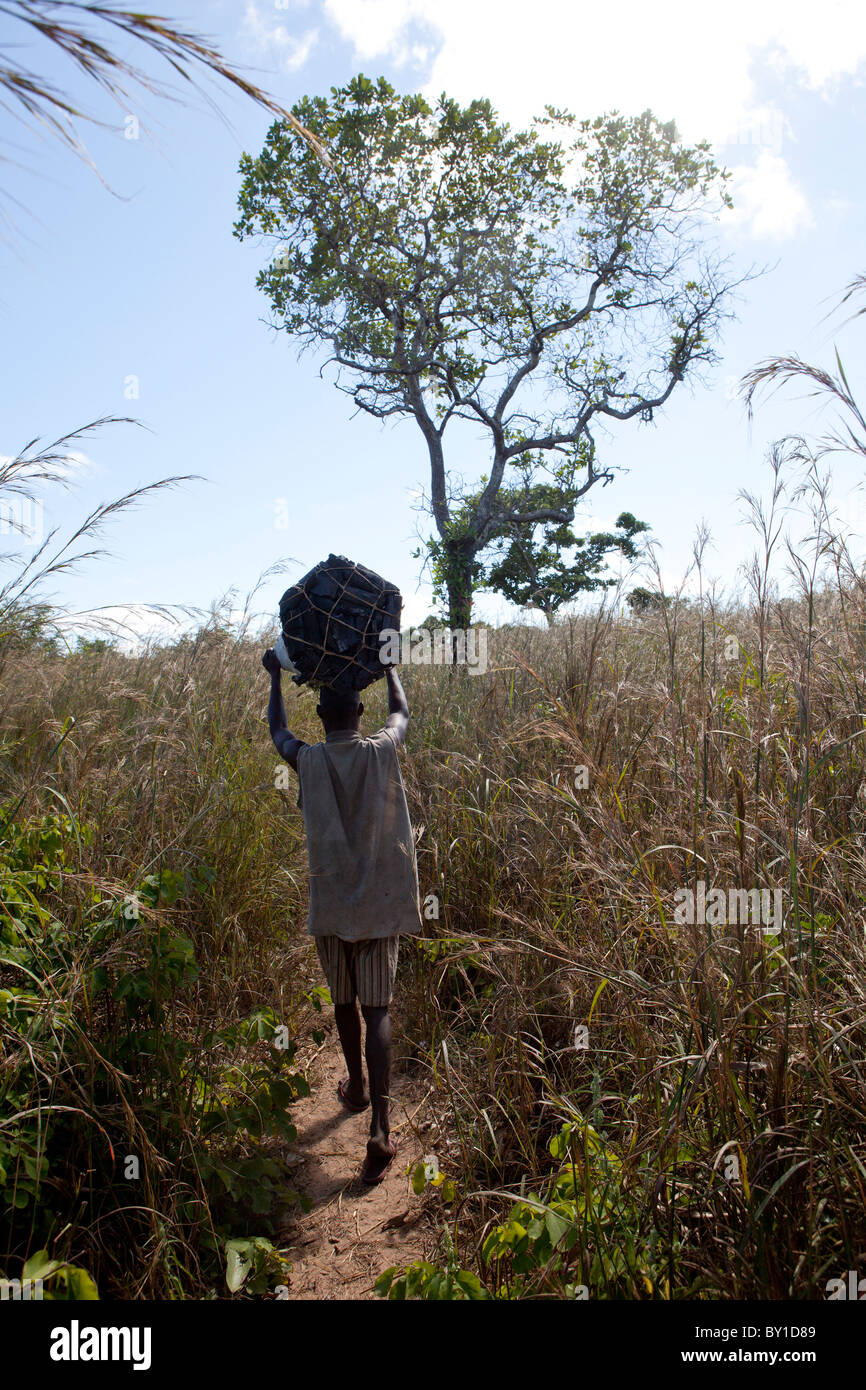 MECATI Forêt, Près de Nampula, MOZAMBIQUE, Mai 2010 : un membre d'un groupe de producteurs de charbon porte un sac de charbon de bois. Banque D'Images