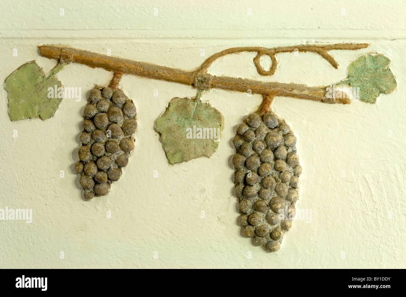 Une vigne en plâtre de la décoration d'une cave à vin dans une maison dans le sud de la France. Banque D'Images