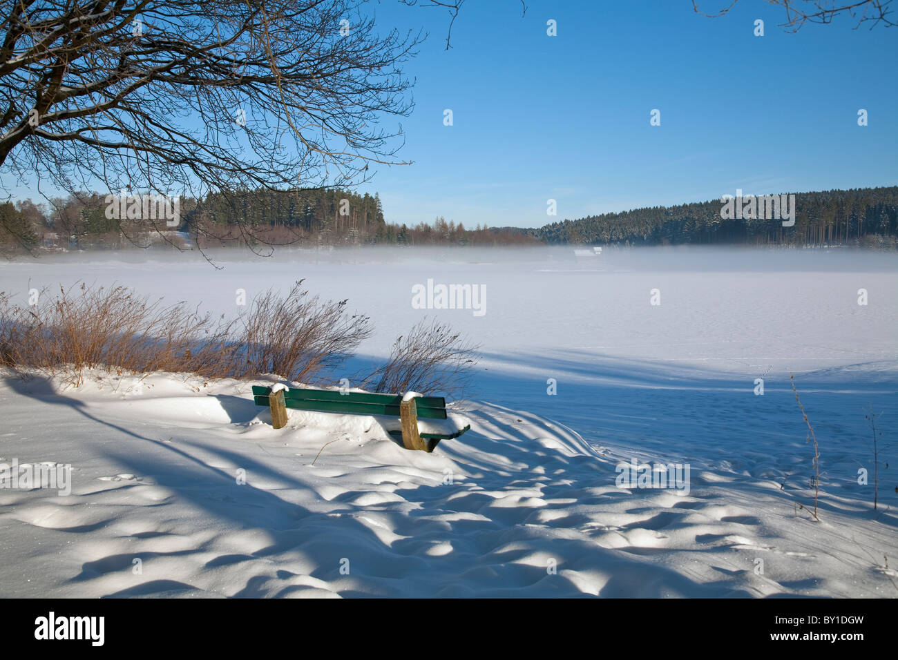 Brume sur le lac gelé Banque D'Images