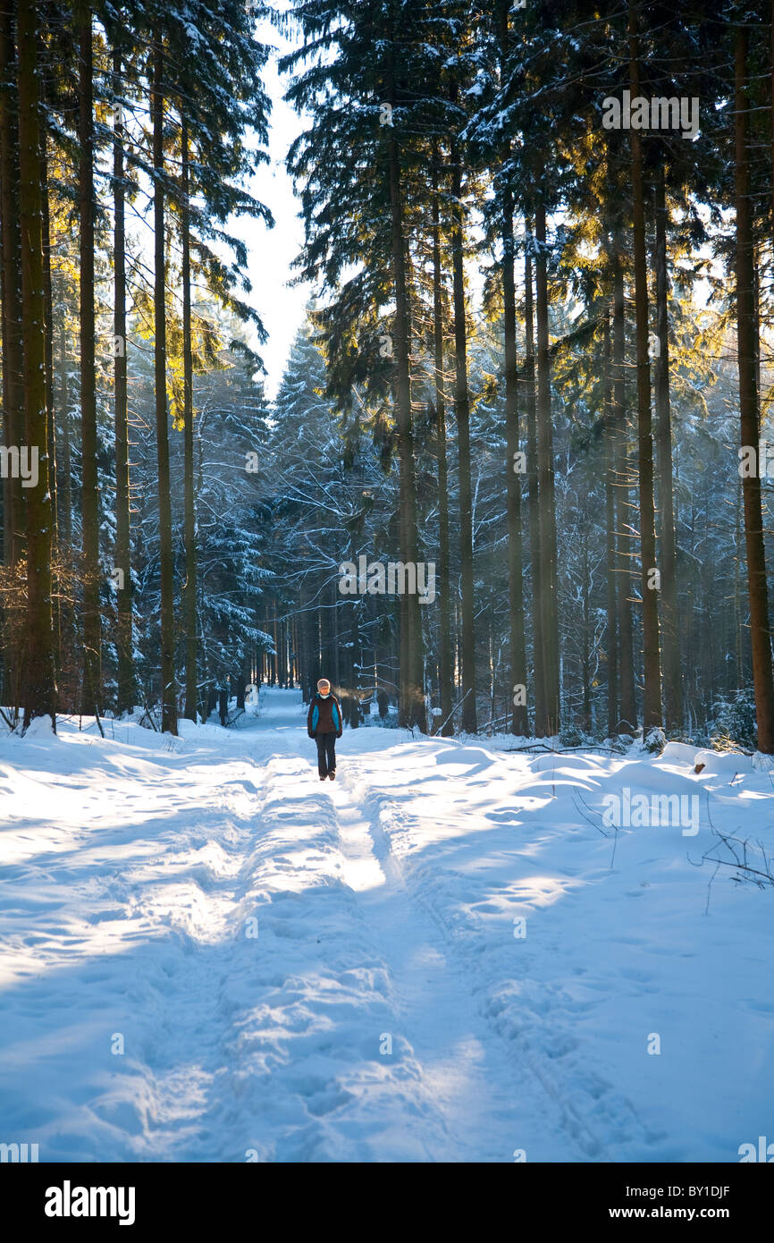 Figure la marche à travers une forêt dans la crosse de l'hiver Banque D'Images