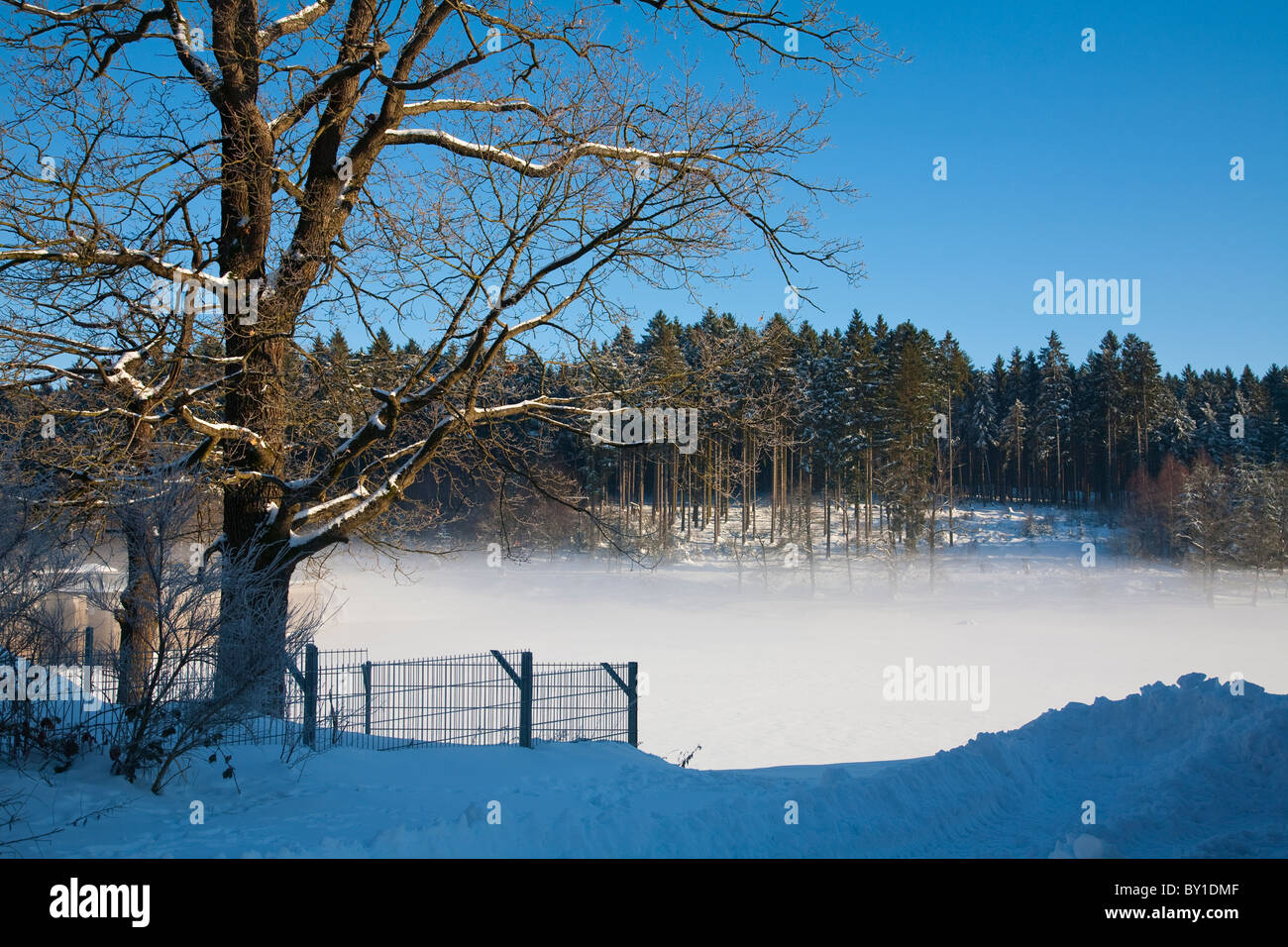 Matin brume sur un lac gelé Banque D'Images