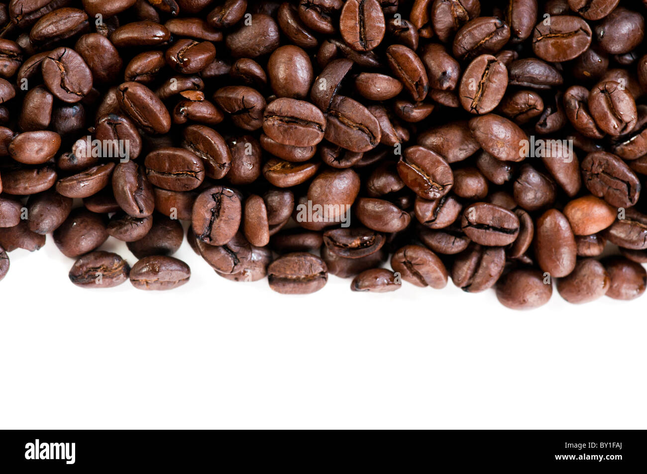 Les grains de café sur le fond blanc with copy space Banque D'Images