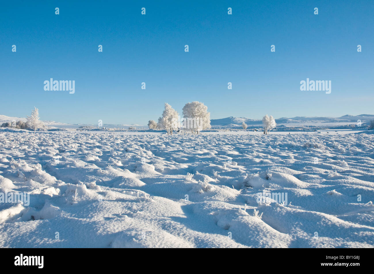 Les arbres couverts de neige et de neige et le Loch Rannoch Moor champ Ba Glencoe Ecosse Highland Banque D'Images