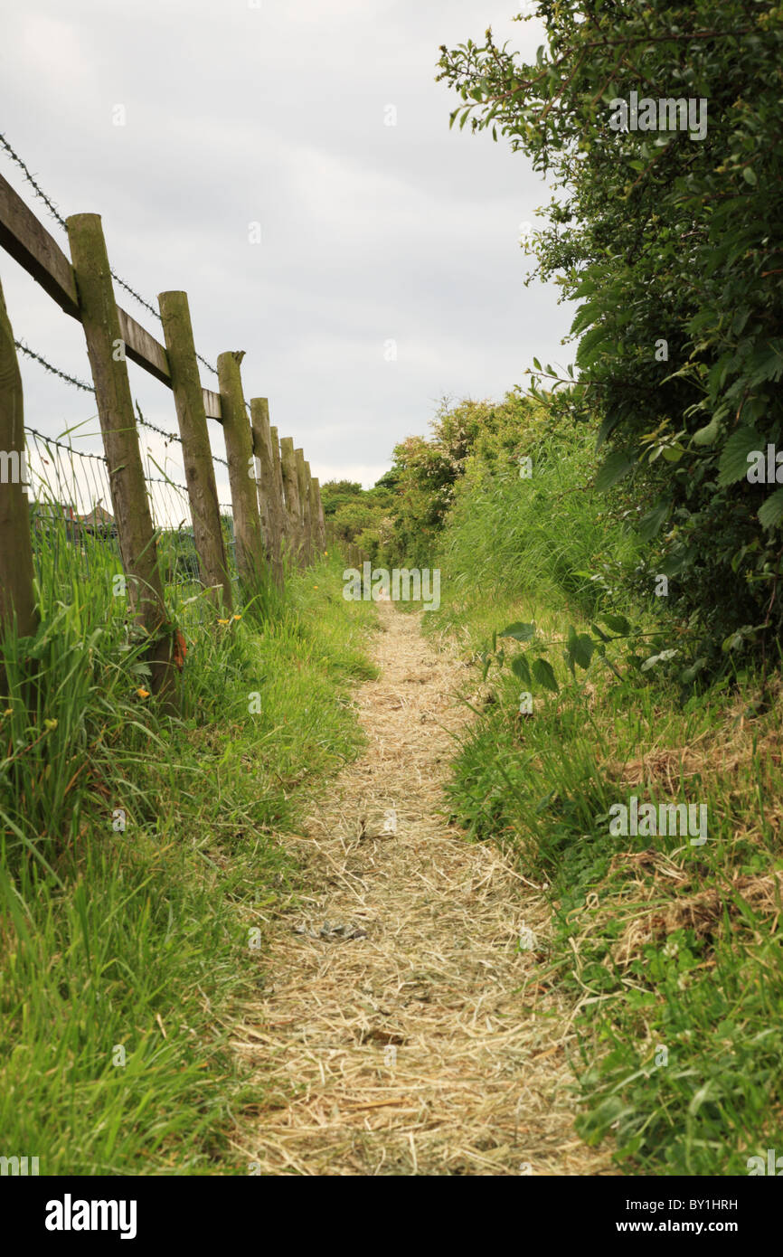 Campagne anglaise, chemin North Yorkshire Banque D'Images