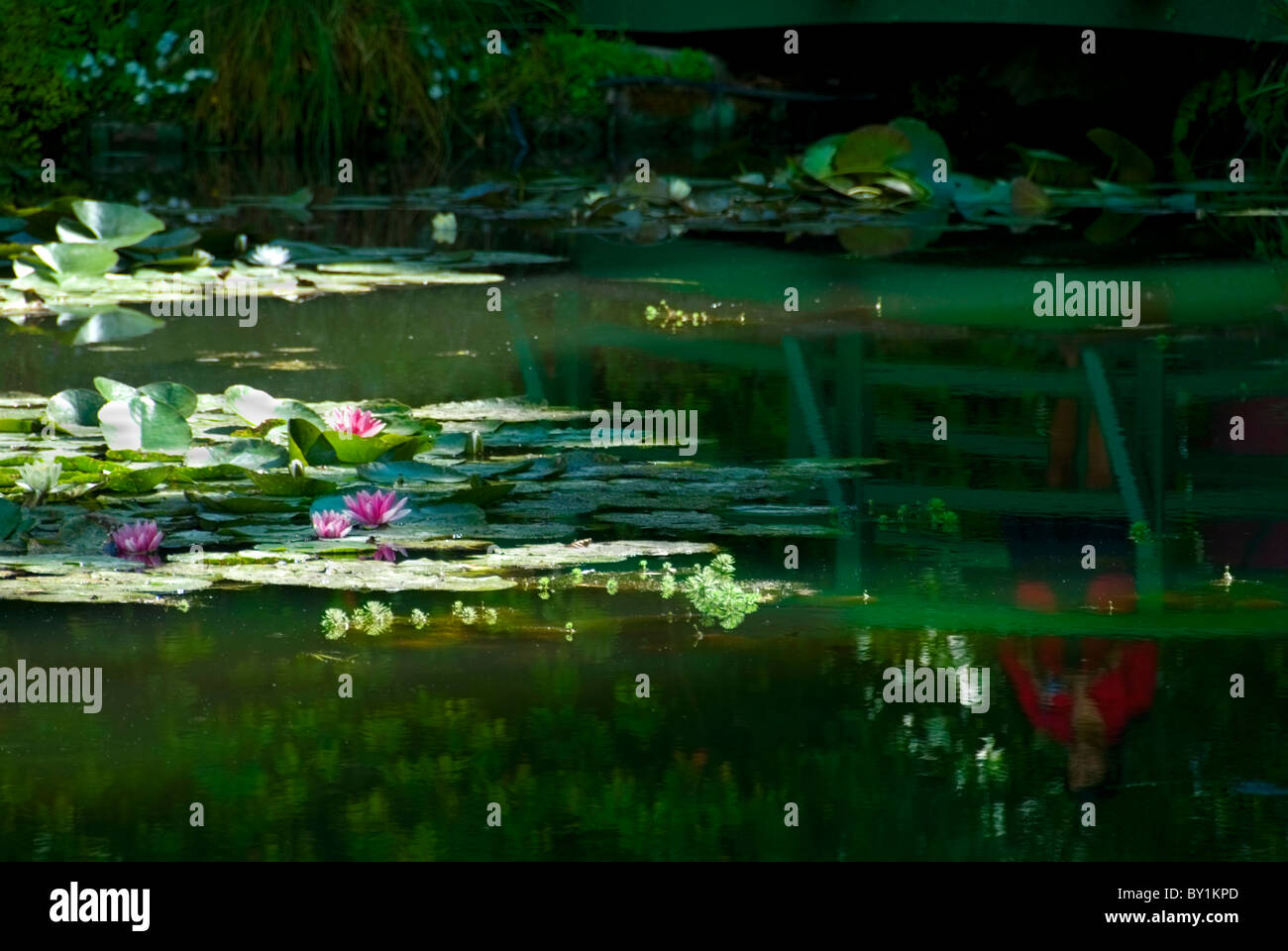 Étang aux Nymphéas, Claude Monet, Giverny, France Banque D'Images