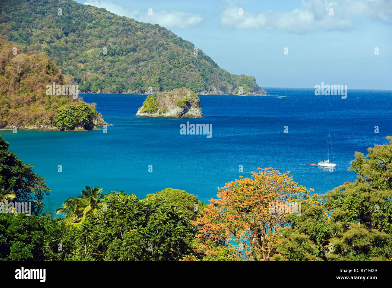 Les Caraïbes, Trinité-et-Tobago, l'île de Tobago Banque D'Images