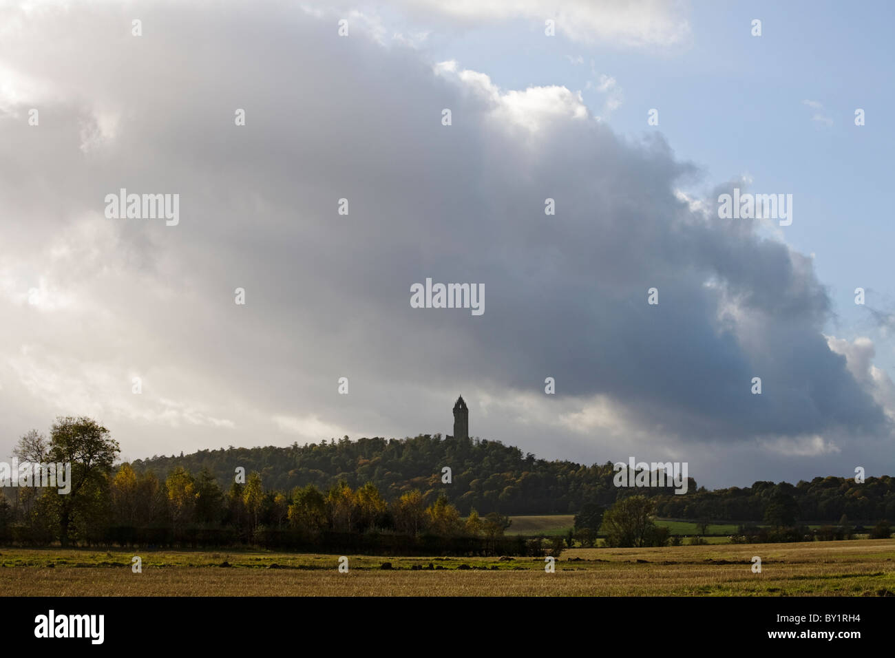 Wallace Monument, Stirling, Ecosse Banque D'Images