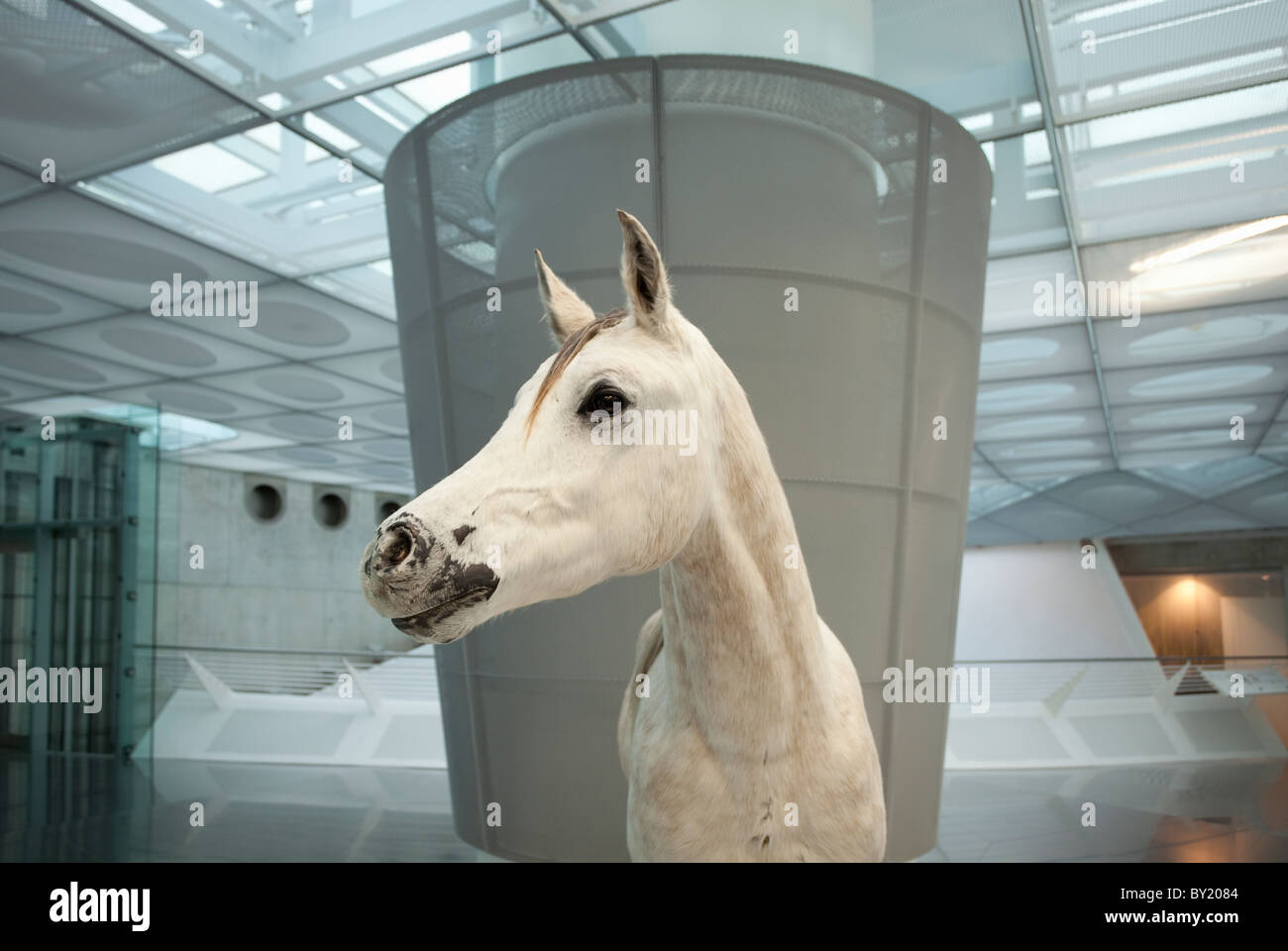 Allemagne, Stuttgart, Musée Mercedes-Benz, un cheval en peluche représentant le début des transports Banque D'Images