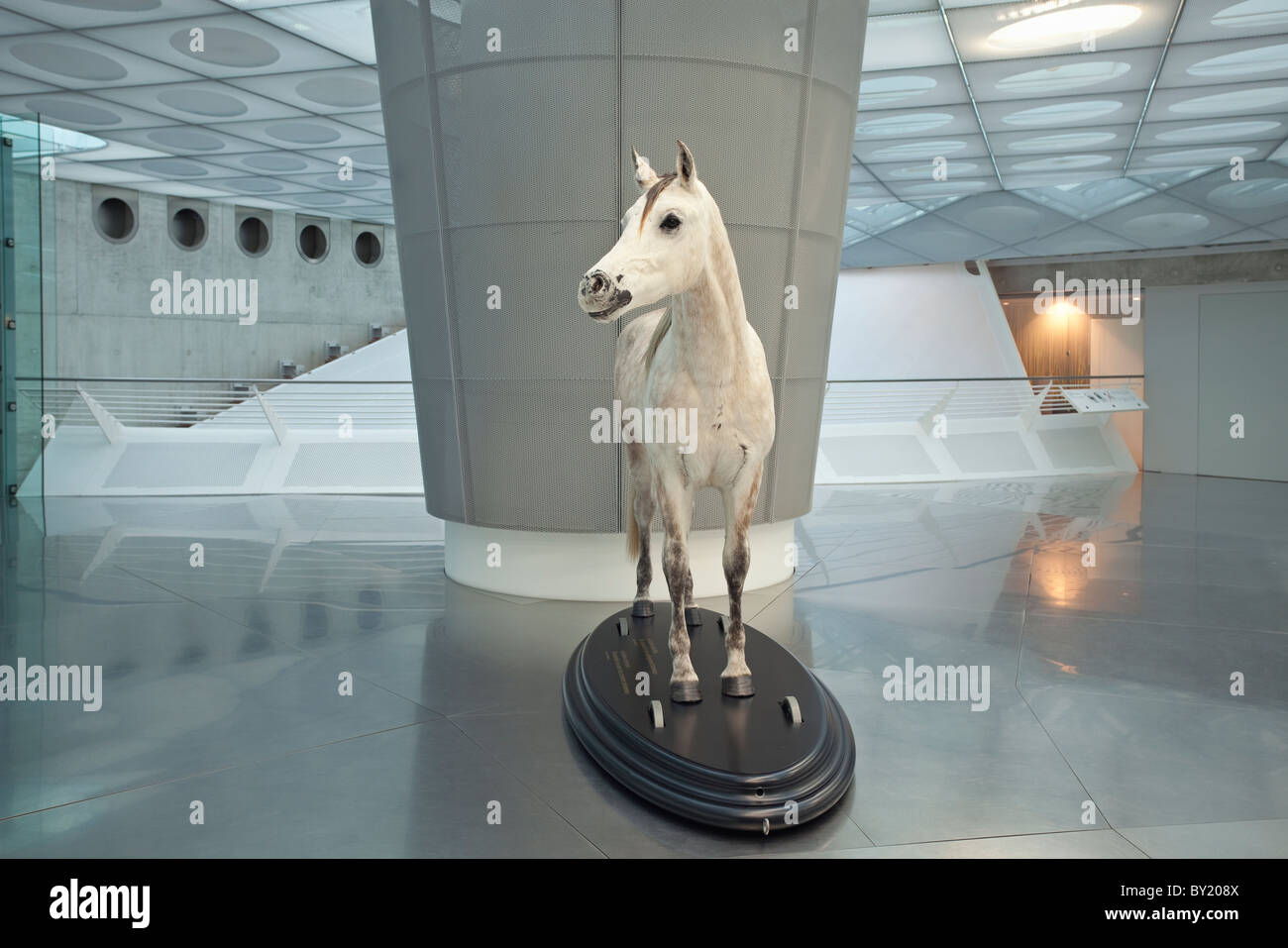 Allemagne, Stuttgart, Musée Mercedes-Benz, un cheval en peluche représentant le début des transports Banque D'Images