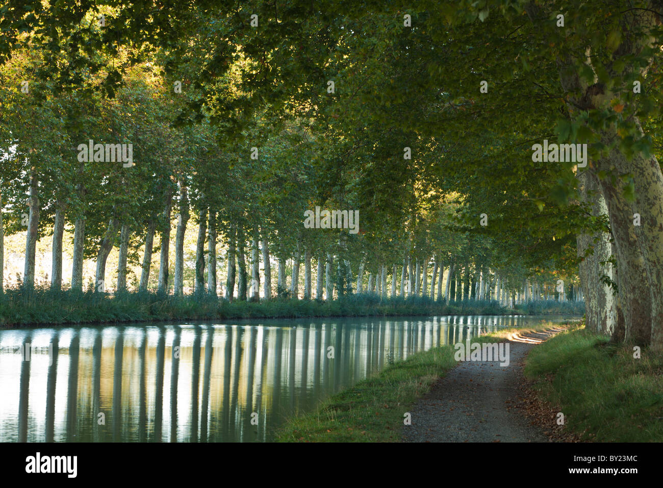 France, Midi-Pyrénées, Canal du Midi. Le Canal du Midi dans le Sud de France relie la Garonne à l'étang de Banque D'Images