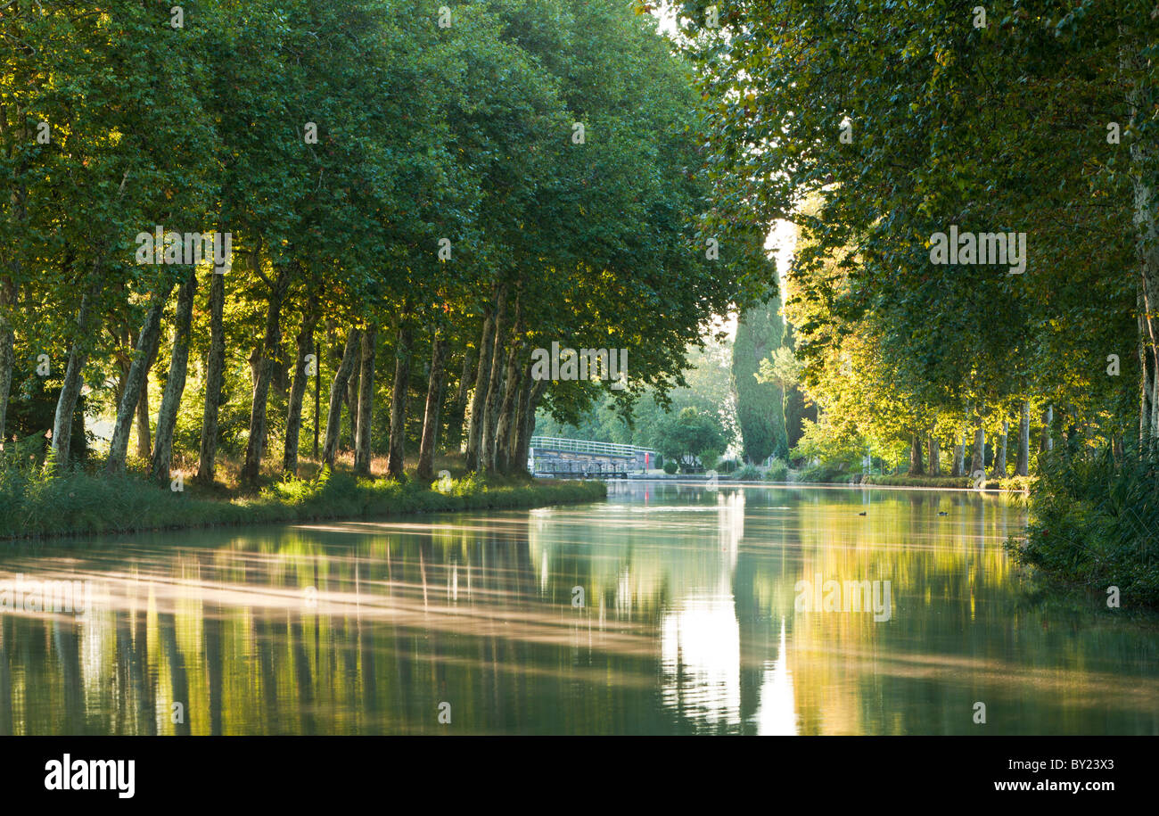 France, Midi-Pyrénées, Canal du Midi. Le Canal du Midi dans le Sud de France relie la Garonne à l'étang de Banque D'Images