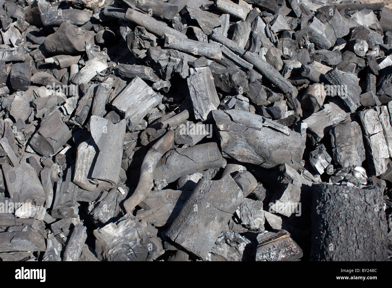 MAPUTO, Mozambique, mai 2010 : un producteur de charbon produit récemment en attente d'être mis dans des sacs pour la vente. Banque D'Images