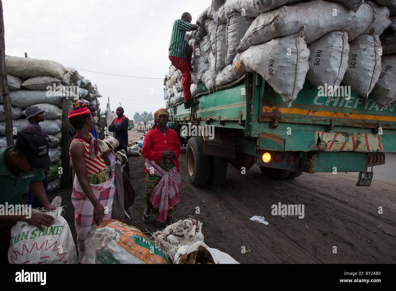 MAPUTO, Mozambique, mai 2010 : le charbon de bois en vente dans les marchés de la ville. Un sac de charbon se vend à 100 Mt, (environ 3,00). Banque D'Images