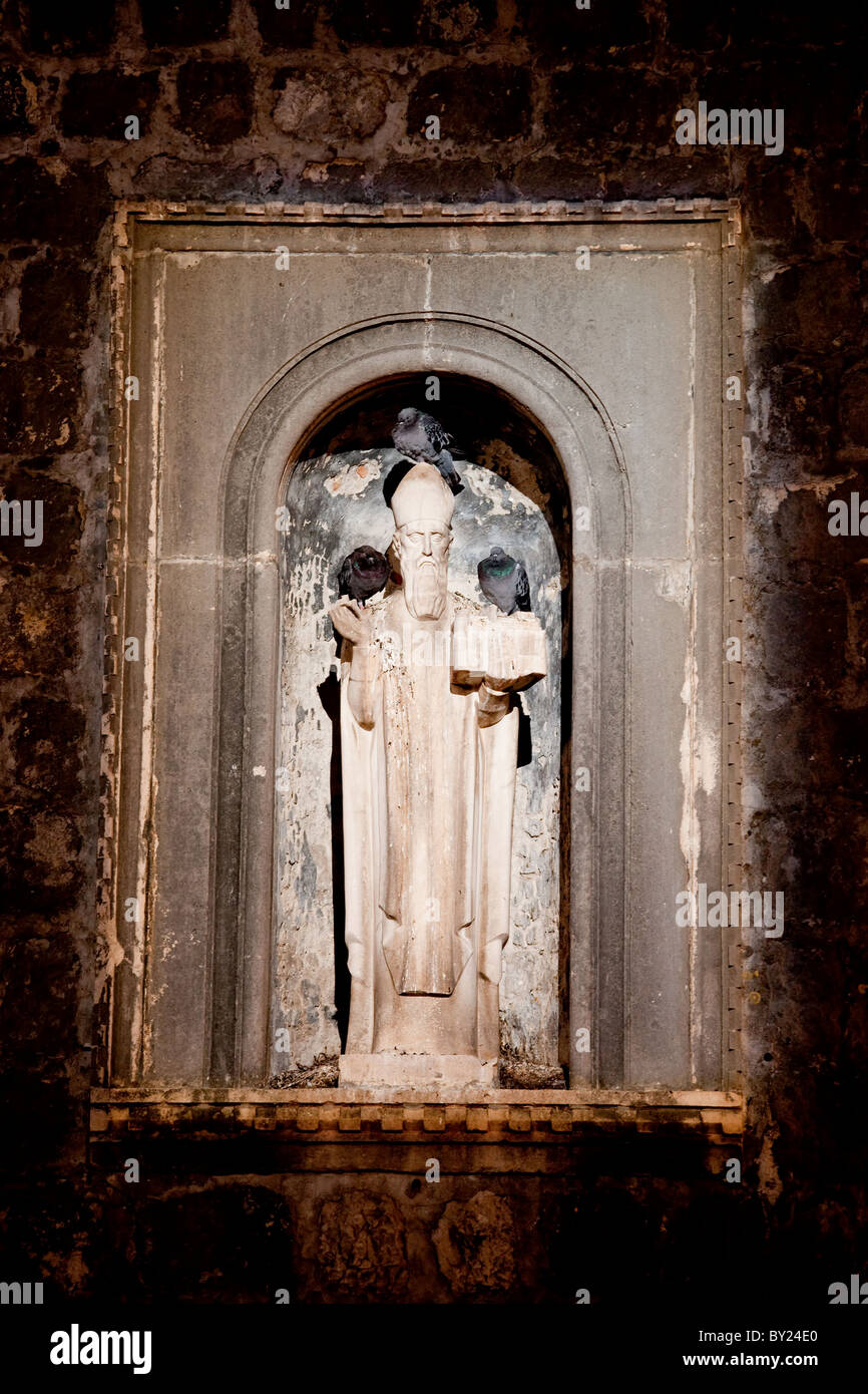 Statue de Saint Patron de Dubrovnik a mis en lumière la nuit Blaise Banque D'Images