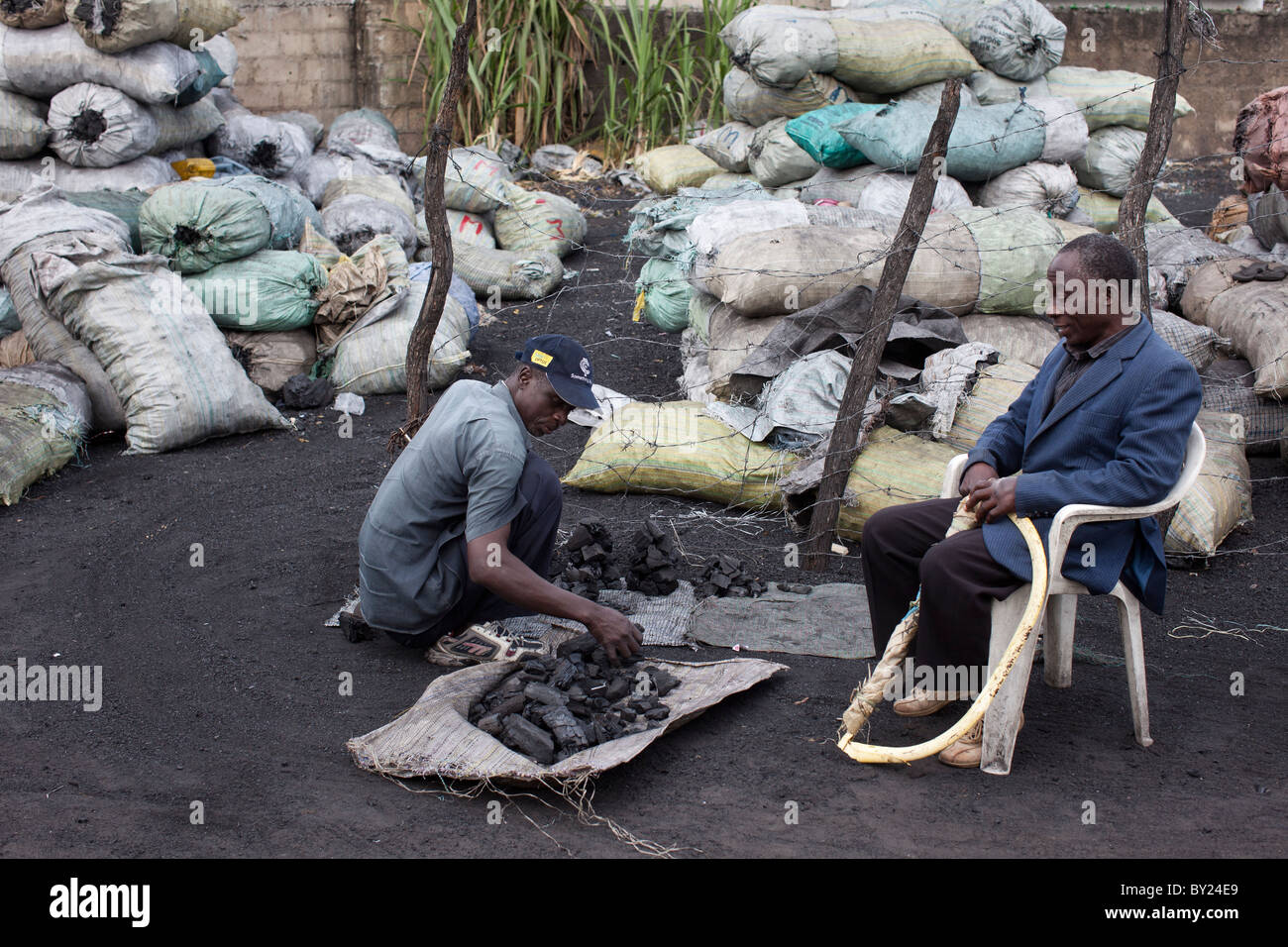 MAPUTO, Mozambique, mai 2010 : le charbon de bois en vente dans les marchés de la ville. Un sac de charbon se vend à 100 Mt, (environ 3,00). Banque D'Images