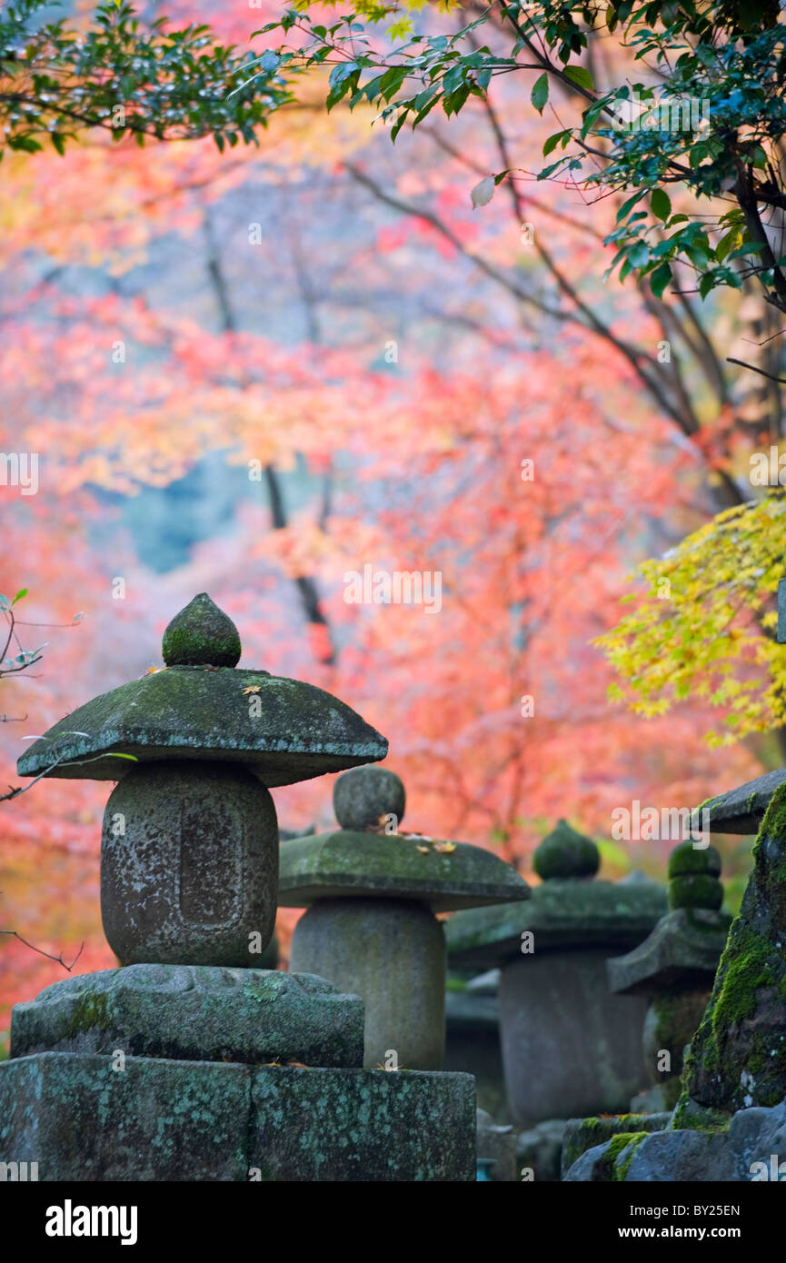 L'Asie, Japon. Sagano, Kyoto, Nison dans (Nisonin) Temple, (834) de la lanterne de pierre, entre les feuilles d'automne Banque D'Images