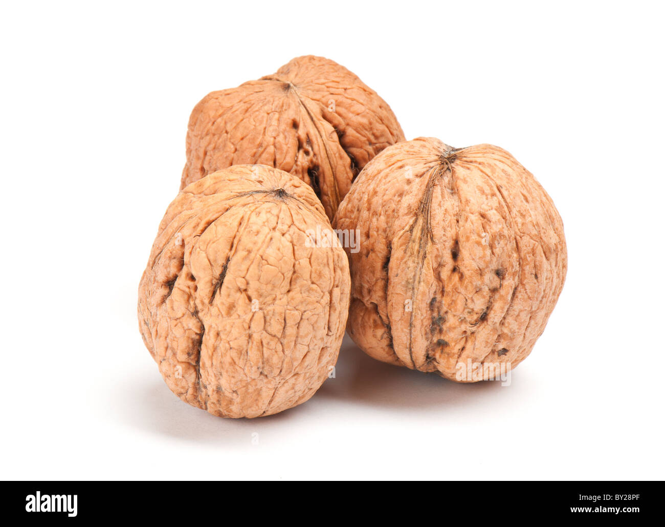 Noix sur fond blanc Banque D'Images