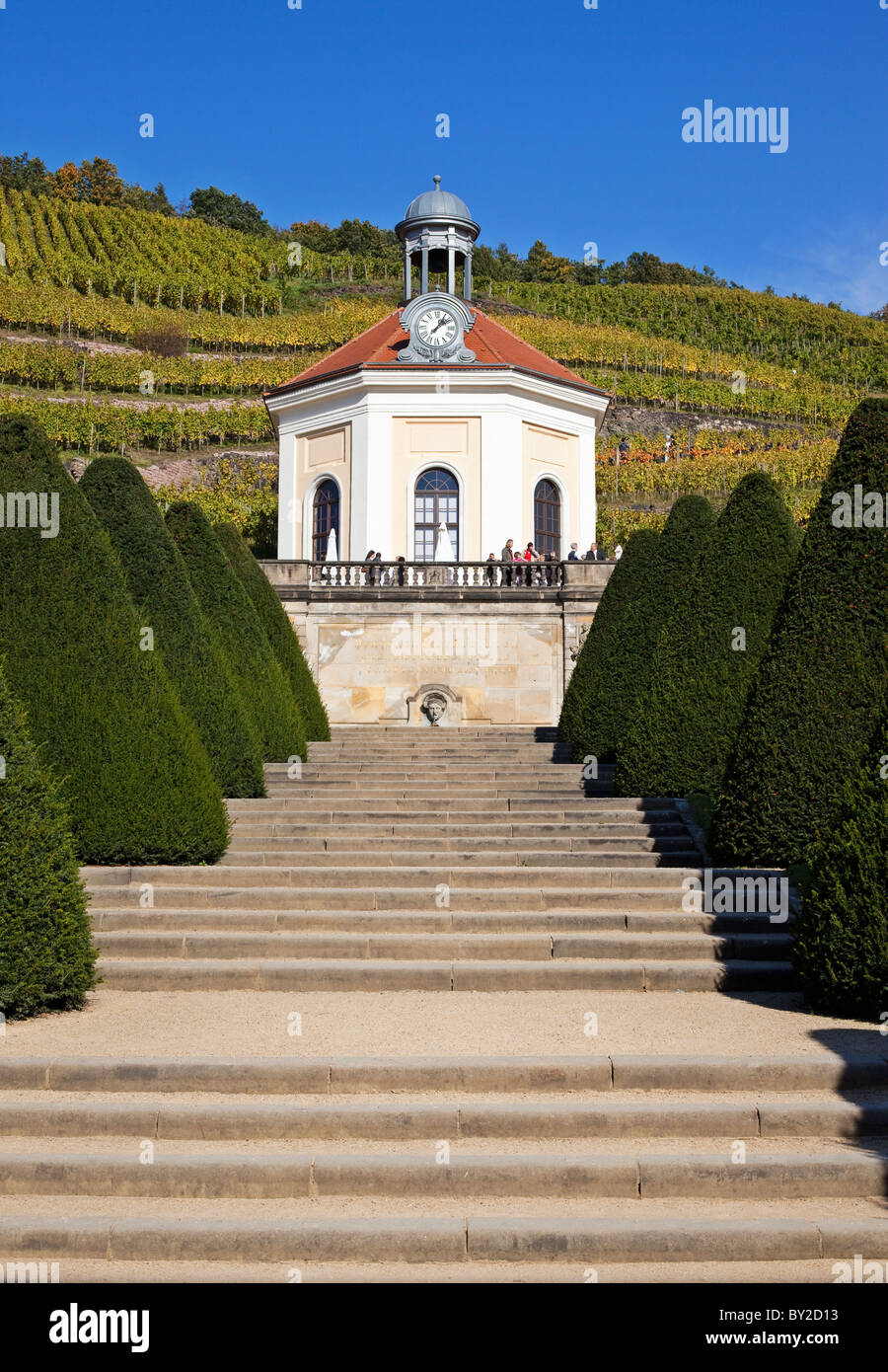 Allemagne, Saxe,Elbe Valley,Radebeul, vignoble, Wackerbarth Château Belvedere Banque D'Images