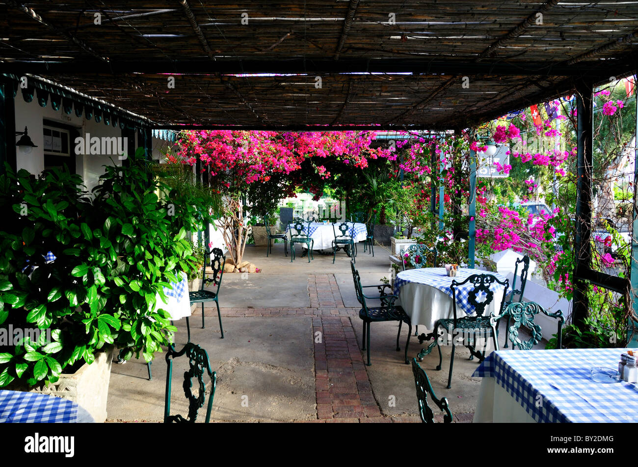 Fleurs colorées décorent un patio café. Prince Albert, Afrique du Sud. Banque D'Images