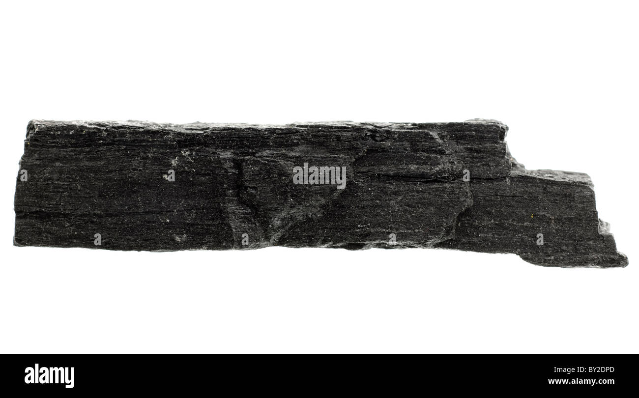 Bitumineux charbon. Échantillon de roche sédimentaire Banque D'Images
